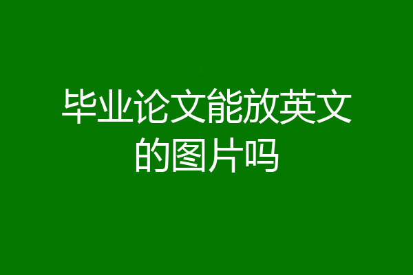 毕业论文能放英文的图片吗