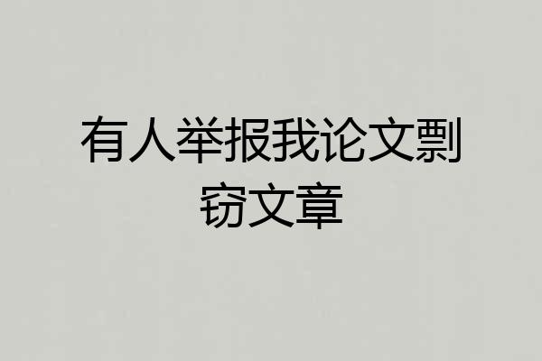有人举报我论文剽窃文章