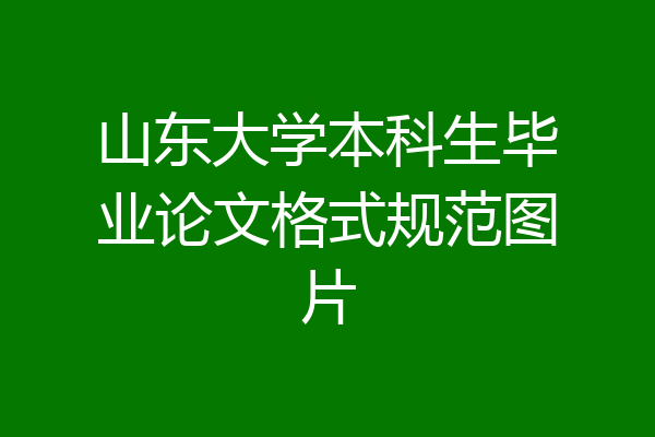 山东大学本科生毕业论文格式规范图片