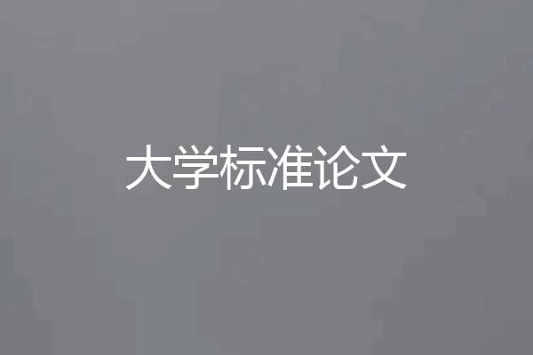 大学标准论文
