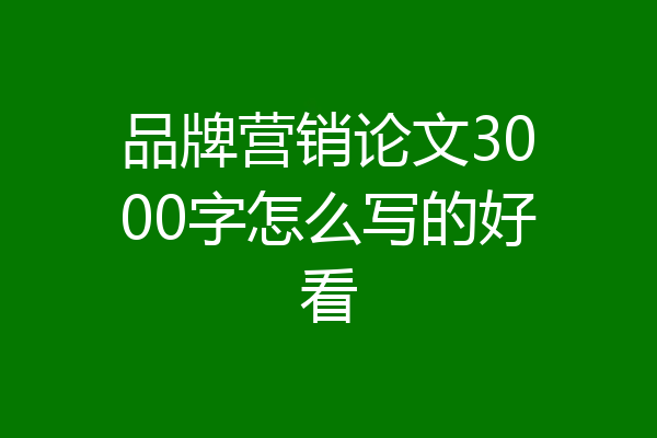 品牌营销论文3000字怎么写的好看