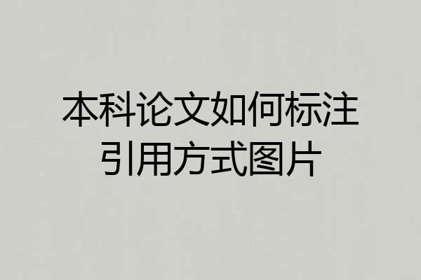 本科论文如何标注引用方式图片