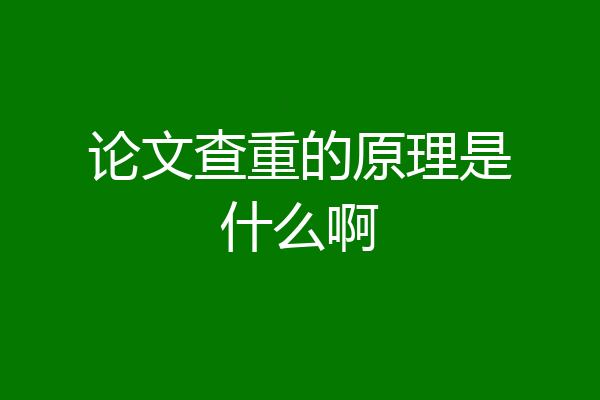 论文查重的原理是什么啊