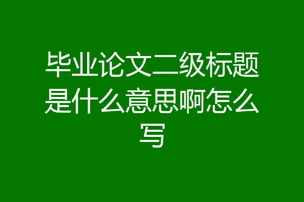 毕业论文二级标题是什么意思啊怎么写