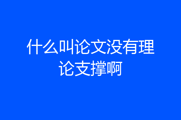 什么叫论文没有理论支撑啊