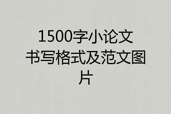 1500字小论文书写格式及范文图片