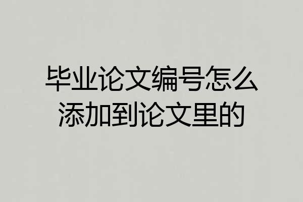 毕业论文编号怎么添加到论文里的
