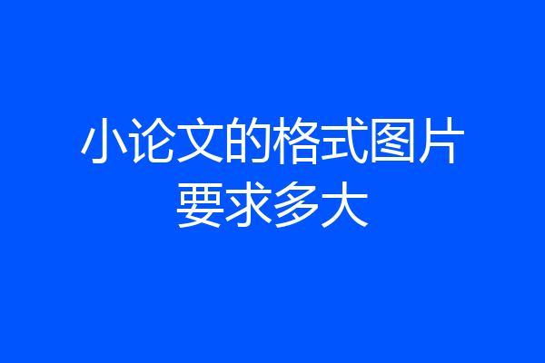 小论文的格式图片要求多大