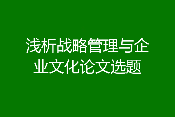 浅析战略管理与企业文化论文选题