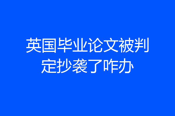 英国毕业论文被判定抄袭了咋办