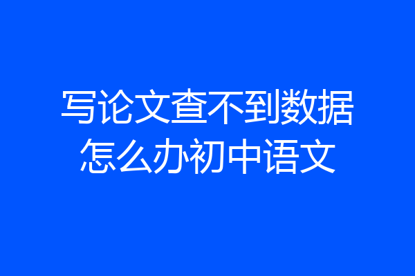 写论文查不到数据怎么办初中语文