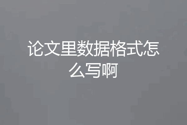 论文里数据格式怎么写啊
