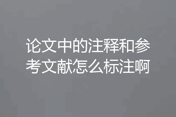 论文中的注释和参考文献怎么标注啊