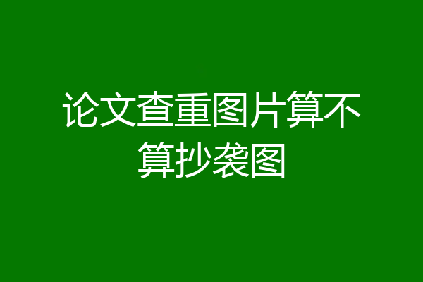 论文查重图片算不算抄袭图