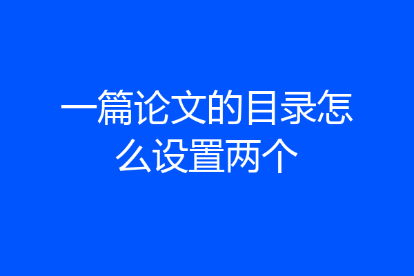 一篇论文的目录怎么设置两个