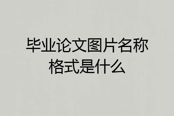 毕业论文图片名称格式是什么