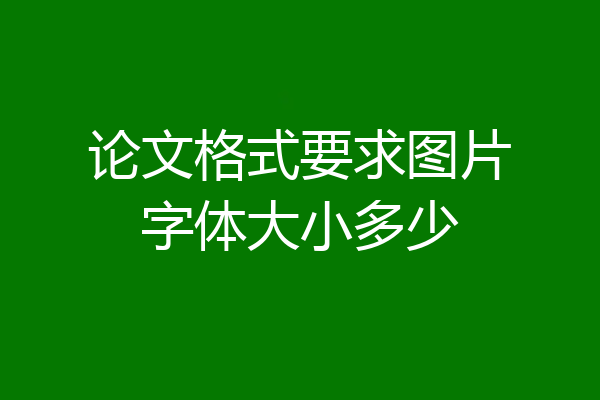 论文格式要求图片字体大小多少