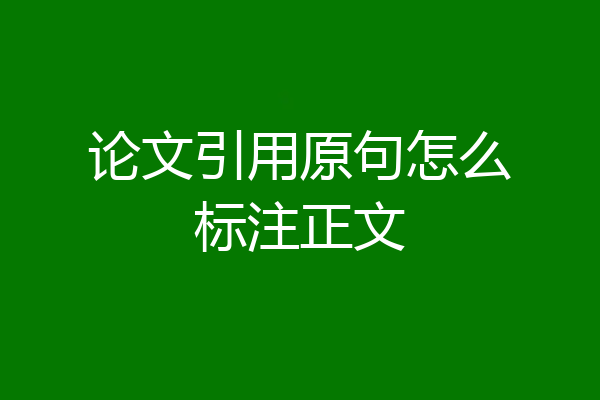 论文引用原句怎么标注正文