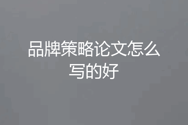品牌策略论文怎么写的好