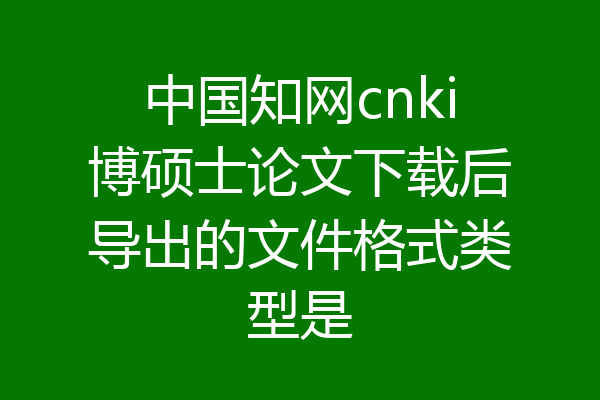 中国知网cnki博硕士论文下载后导出的文件格式类型是
