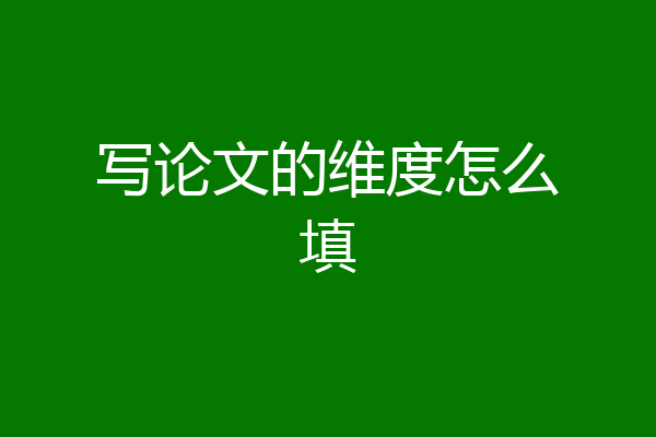 写论文的维度怎么填