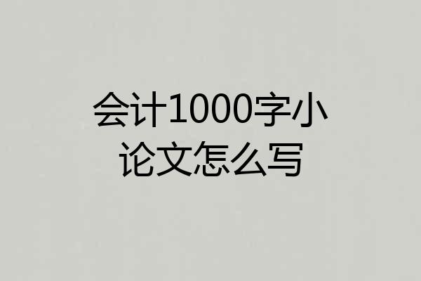 会计1000字小论文怎么写