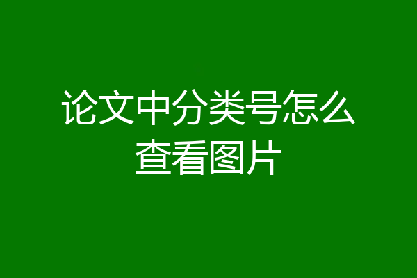 论文中分类号怎么查看图片