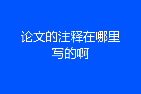 论文的注释在哪里写的啊