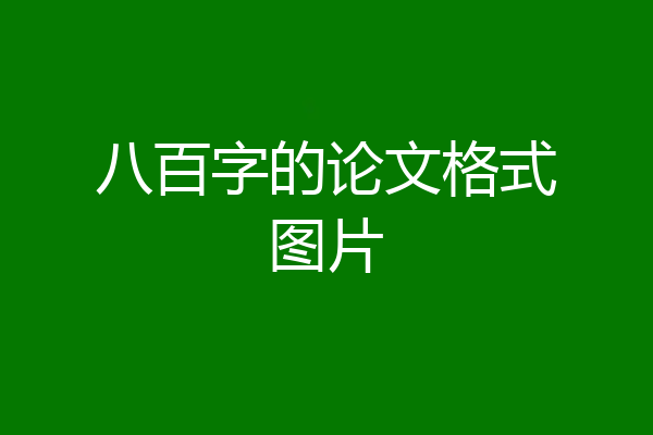 八百字的论文格式图片