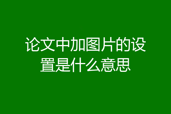 论文中加图片的设置是什么意思
