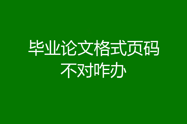 毕业论文格式页码不对咋办