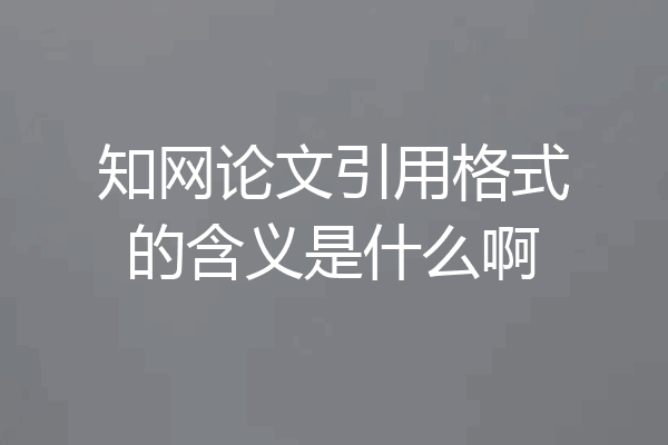 知网论文引用格式的含义是什么啊