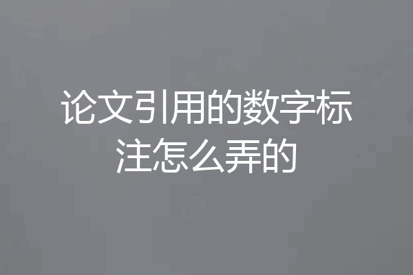论文引用的数字标注怎么弄的