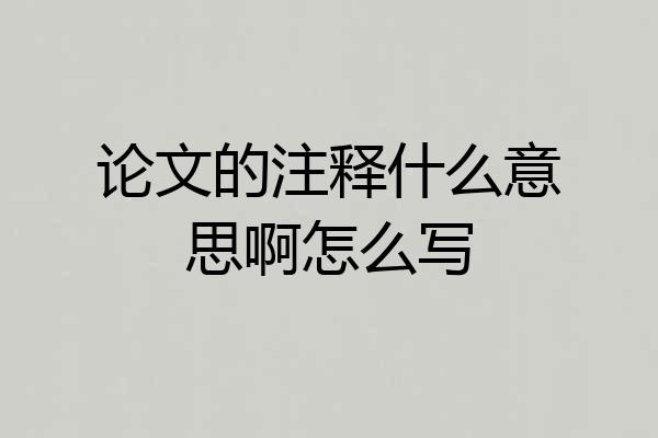 论文的注释什么意思啊怎么写