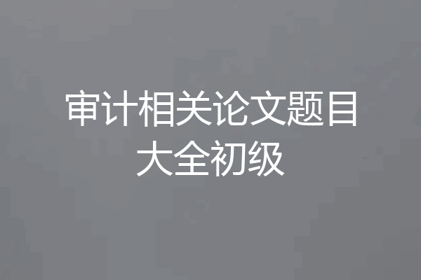 审计相关论文题目大全初级