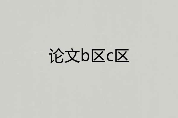 论文b区c区