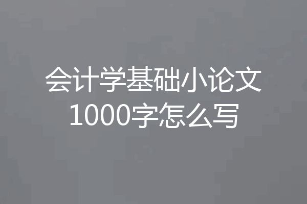 会计学基础小论文1000字怎么写