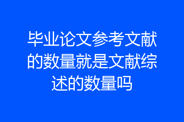 毕业论文参考文献的数量就是文献综述的数量吗