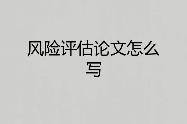 风险评估论文怎么写