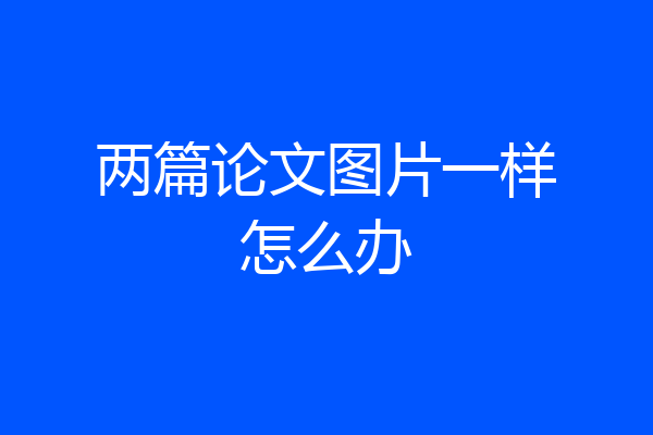两篇论文图片一样怎么办