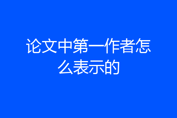 论文中第一作者怎么表示的