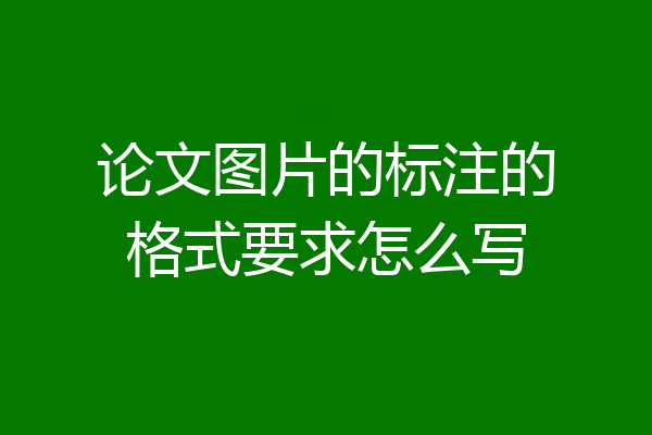 论文图片的标注的格式要求怎么写