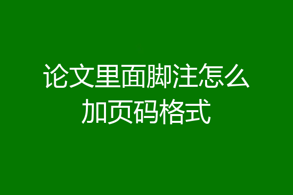 论文里面脚注怎么加页码格式