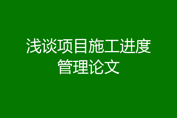 浅谈项目施工进度管理论文