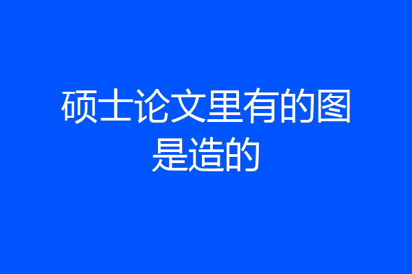 硕士论文里有的图是造的