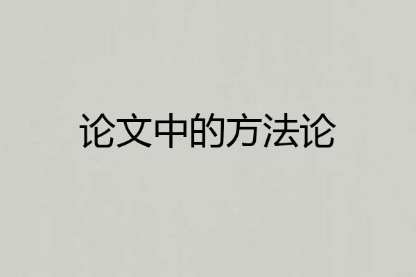 论文中的方法论