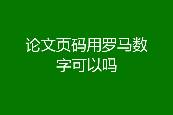 论文页码用罗马数字可以吗