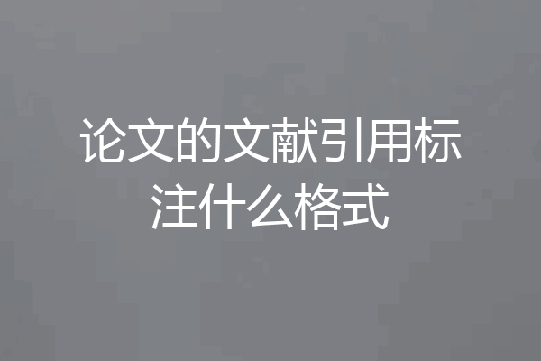 论文的文献引用标注什么格式