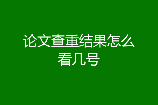 论文查重结果怎么看几号