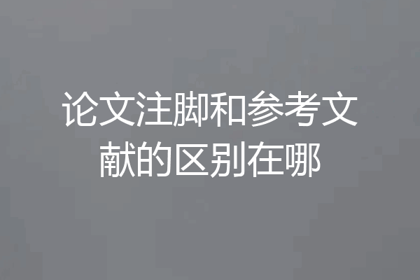 论文注脚和参考文献的区别在哪